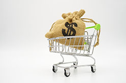 Money Bag in Grocery Cart