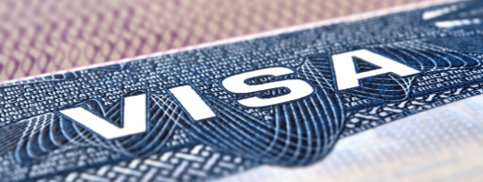 Detail image of a visa.