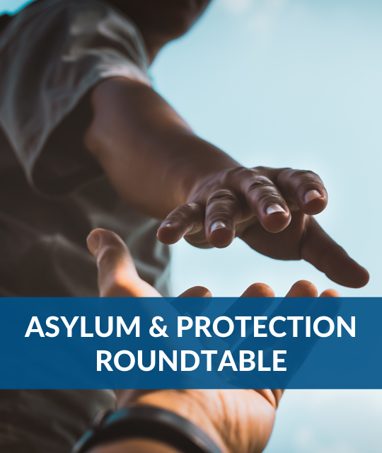 Immigration Courts: Understanding Trends and Utilizing Tools for Pro-Bono Asylum Cases