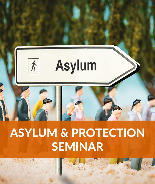 Litigating Asylum Cases in Federal Court: Practical Insights and Critical Components